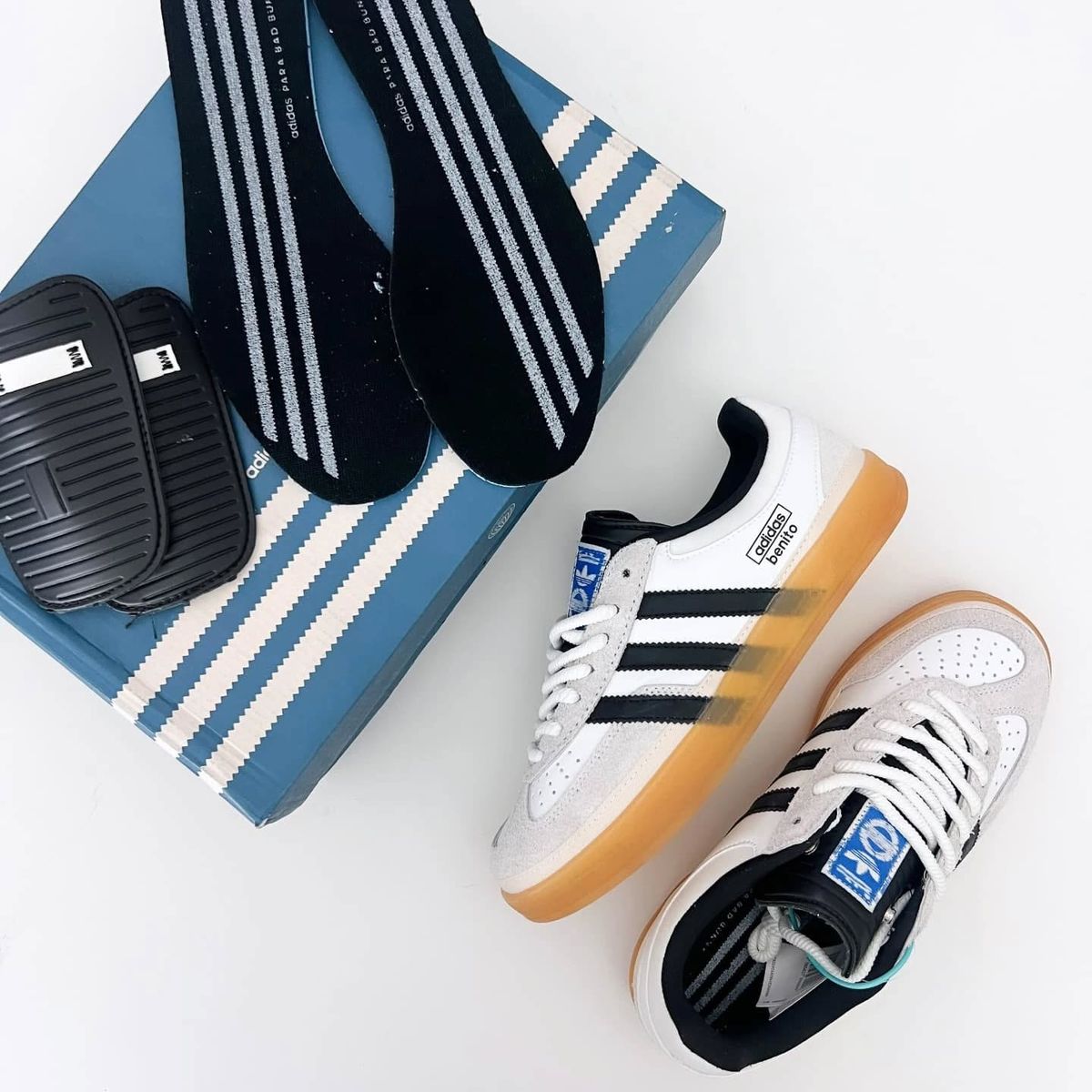 Gazelle Indoor 'Benito'